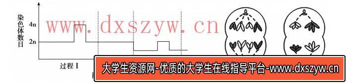 图片[6]-2020年天津市津南区教师招聘《中学生物》考试题-大学生资源网