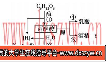 图片[20]-2020年天津市津南区教师招聘《中学生物》考试题-大学生资源网