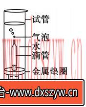 图片[11]-2020年天津市津南区教师招聘《中学生物》考试题-大学生资源网
