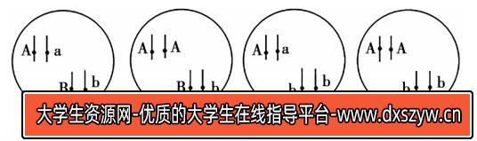 图片[13]-2020年天津市津南区教师招聘《中学生物》考试题-大学生资源网