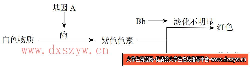 图片[19]-2019年天津市滨海新区教师招聘《中学生物》考试题-大学生资源网