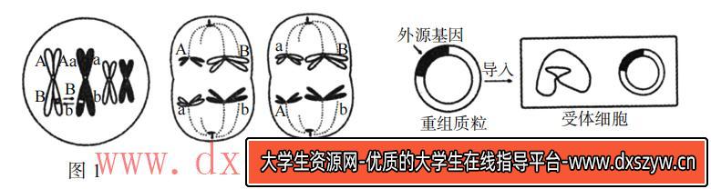 图片[45]-2019年天津市滨海新区教师招聘《中学生物》考试题-大学生资源网