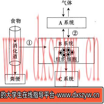 图片[6]-2017年湖北省农村义务教育学校教师招聘考试《中学生物》真题及答案-大学生资源网