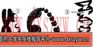 图片[2]-2017年湖北省农村义务教育学校教师招聘考试《中学生物》真题及答案-大学生资源网