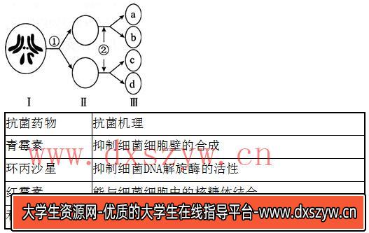 图片[3]-2014年湖北教师招聘考试《中学生物》考试真题及解析-大学生资源网