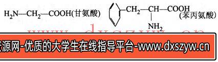 图片[5]-2014年湖北教师招聘考试《中学生物》考试真题及解析-大学生资源网