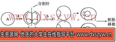 图片[6]-2014年湖北教师招聘考试《中学生物》考试真题及解析-大学生资源网