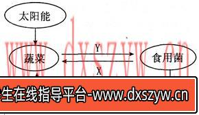 图片[8]-2014年湖北教师招聘考试《中学生物》考试真题及解析-大学生资源网
