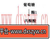 图片[10]-2014年湖北教师招聘考试《中学生物》考试真题及解析-大学生资源网