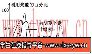 图片[16]-2014年湖北教师招聘考试《中学生物》考试真题及解析-大学生资源网