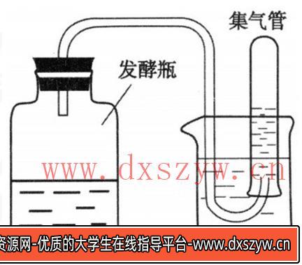 图片[9]-2018年山西省忻州市第一中学教师招聘考试题（中学生物）-大学生资源网