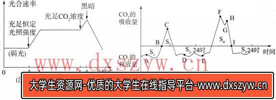 图片[15]-2018年山西省忻州市第一中学教师招聘考试题（中学生物）-大学生资源网