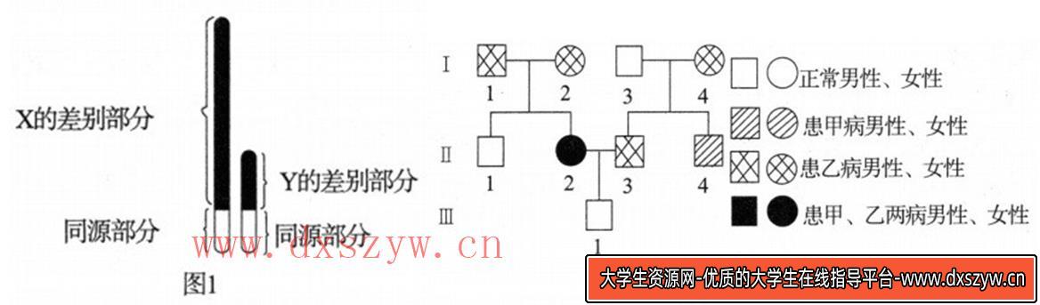 图片[25]-2018年山西省忻州市第一中学教师招聘考试题（中学生物）-大学生资源网