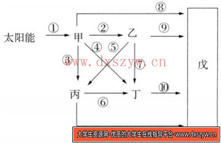 图片[24]-2018年山西省忻州市第一中学教师招聘考试题（中学生物）-大学生资源网