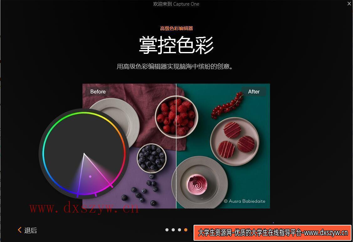 图片[5]-最新PS插件发布：Capture One 23 Pro v16.4.4.2244（飞思RAW编辑软件）WINX64免费下载-大学生资源网