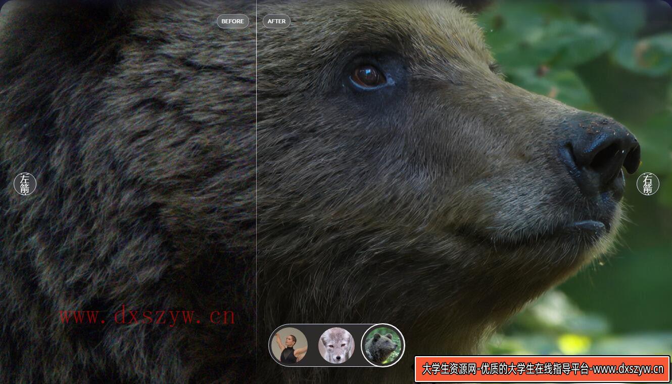 图片[3]-最新PS特效插件：Topaz Photo AI 3.1.3 中文汉化版 | 高效放大、降噪、锐化模型插件（WINX64）-大学生资源网