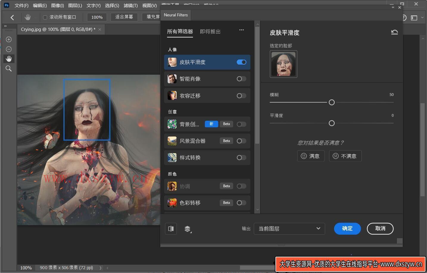 图片[3]-免费下载Adobe Photoshop 2024 (Beta) v25.12 m2716 直装破解版，适用于WIN系统，内含LR预设支持。-大学生资源网