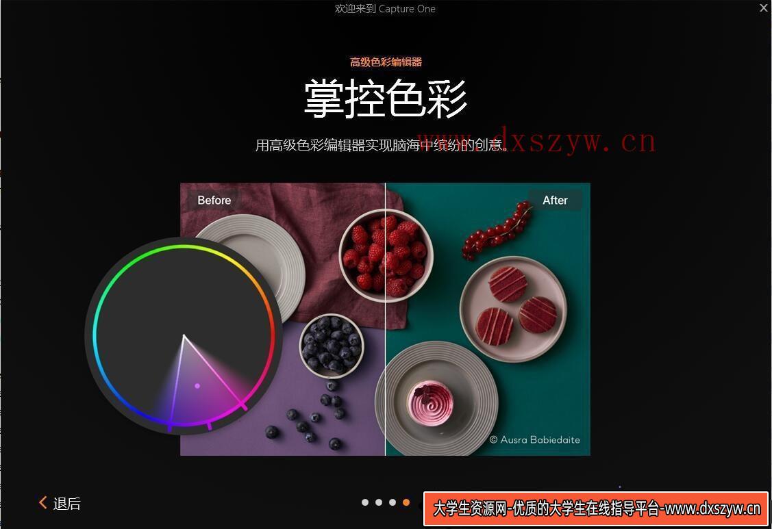 图片[6]-2024 最新飞思Capture One 23 Pro v16.3.7 图像编辑软件：摄影师必备的专业工具-大学生资源网