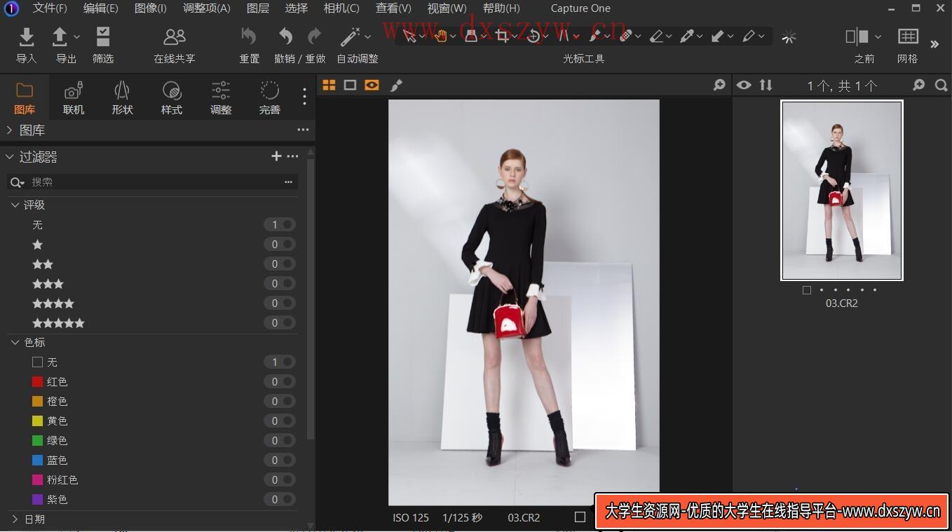 图片[9]-2024 最新飞思Capture One 23 Pro v16.3.7 图像编辑软件：摄影师必备的专业工具-大学生资源网