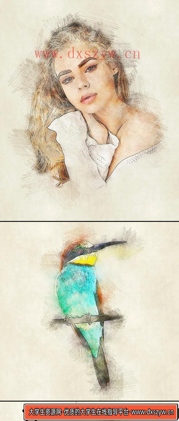 图片[3]-[PS动作下载]彩色铅笔素描绘画PS动作 Color Pencil Photoshop Action(附视频教程)-大学生资源网