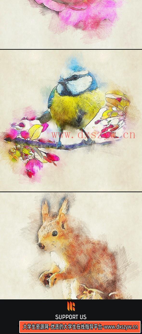 图片[5]-[PS动作下载]彩色铅笔素描绘画PS动作 Color Pencil Photoshop Action(附视频教程)-大学生资源网