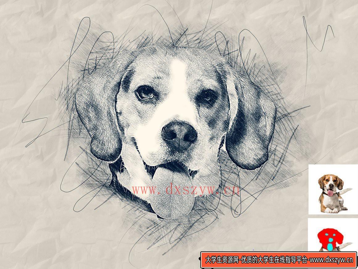 图片[12]-[中文版动作]手绘艺术动作 Hand Drawn Art Photoshop Action(附视频教程)中文版支持2021-大学生资源网