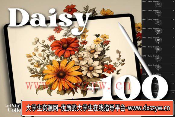 [Procreate笔刷]100个高品质Procreate雏菊系列插图画笔 100+ Procreate Daisy Stamps-大学生资源网