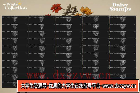 图片[3]-[Procreate笔刷]100个高品质Procreate雏菊系列插图画笔 100+ Procreate Daisy Stamps-大学生资源网