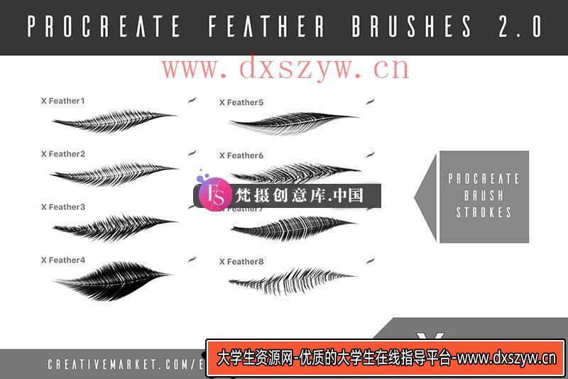 图片[2]-8种Procreate羽毛笔刷-大学生资源网