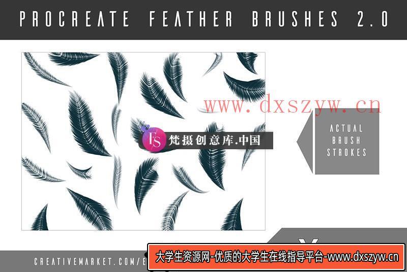 图片[3]-8种Procreate羽毛笔刷-大学生资源网