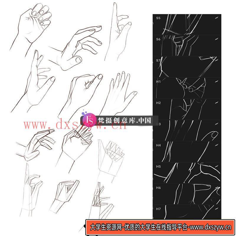 手部线稿速写Procreate笔刷-大学生资源网