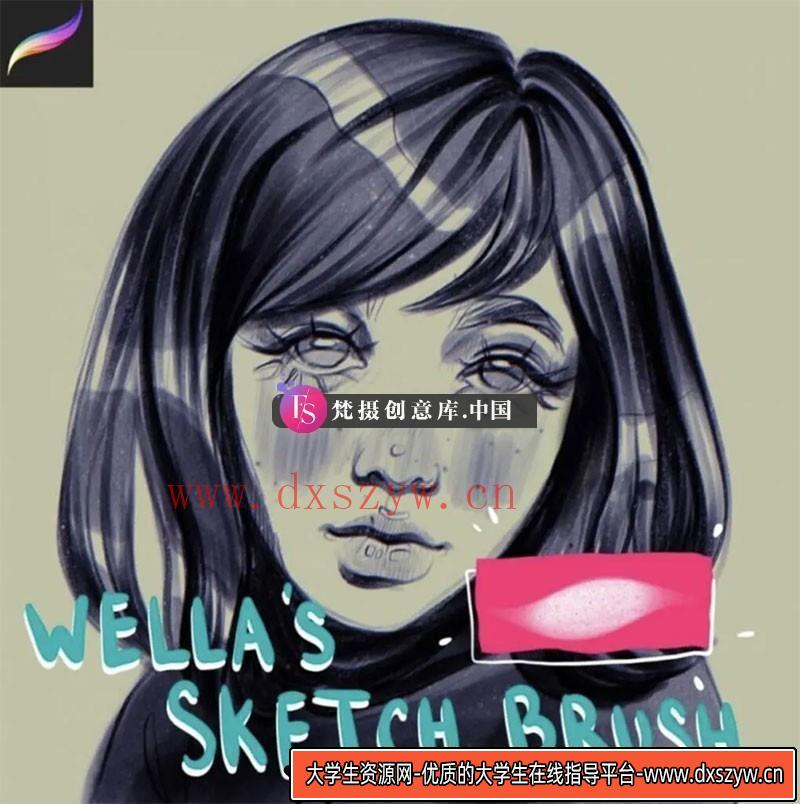 Procreate独特素描笔刷-大学生资源网