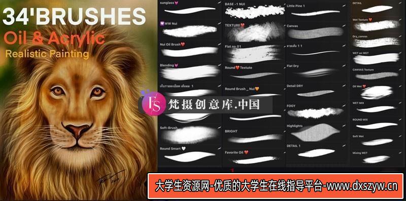 Procreate彩绘油画笔刷-大学生资源网