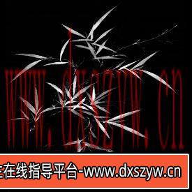 图片[9]-创意复古东方古韵古风水墨纹理质感板绘PS、Procreate绘画abr笔刷-大学生资源网