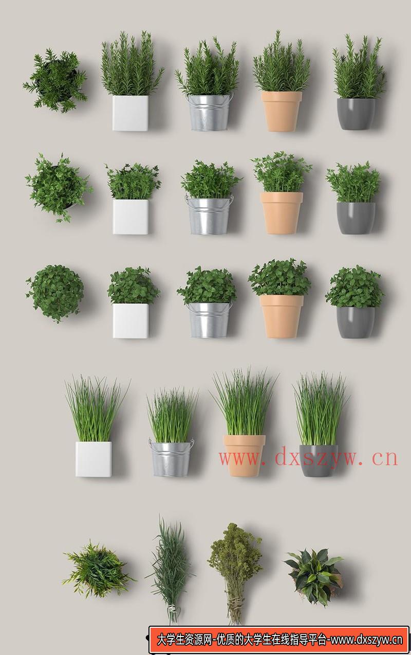 图片[5]-[PS样机模型]7套咖啡原料场景盆栽绿植VI贴图展示样机PSD+PNG源文件打包-大学生资源网