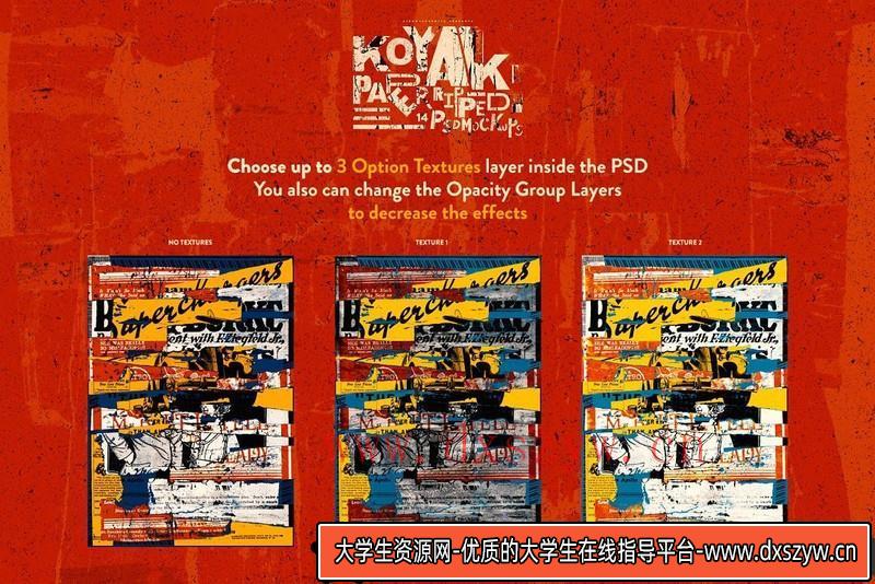 图片[3]-[PS样机模型]生态美食食品样机模型创建器PSD模板EcoFoodMockupCreator-大学生资源网