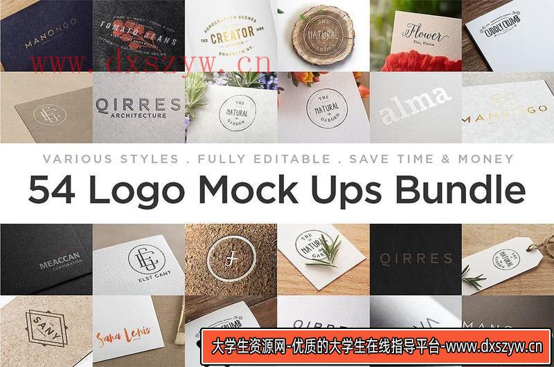 [PS样机模型]54款LOGO标志样机模型合集LogoMockUpsBundle-大学生资源网