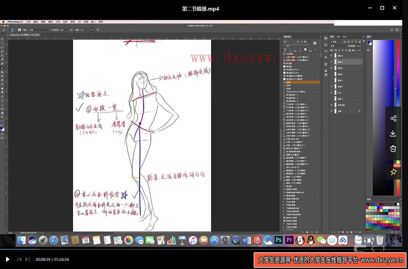杨小洋板绘插画课【老课画质高清有笔刷】