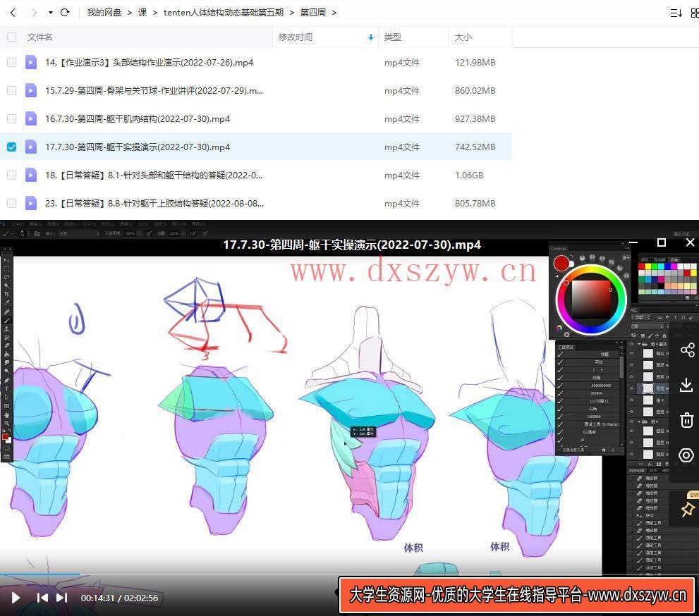 tenten云2022年人体结构动态基础第五期【画质高清有课件没笔刷】