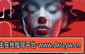 Dinlab2022商业矢量插画系统课陈乐哎【画质高清只有视频】-大学生资源网