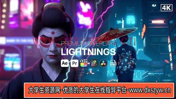 信号损坏视频毛刺特效 – PR预设 Premium Overlays Glitch Lines-大学生资源网