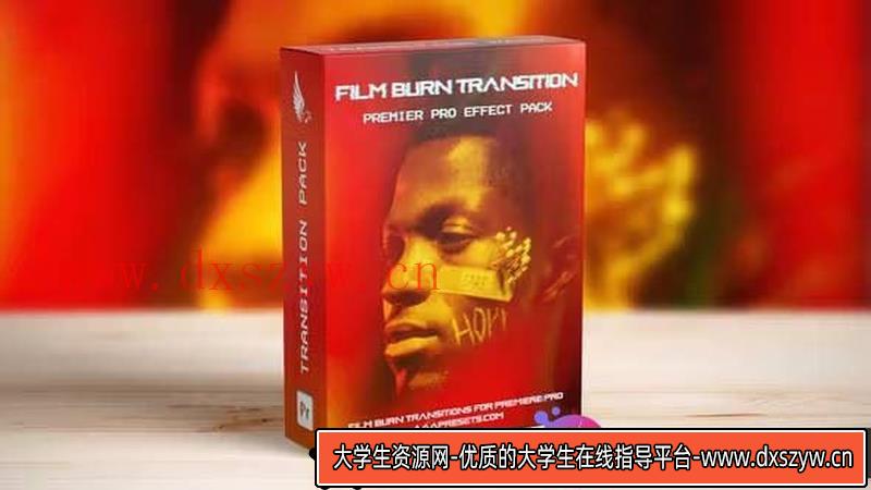10种Adobe Premiere Pro影视燃烧转场模版-大学生资源网