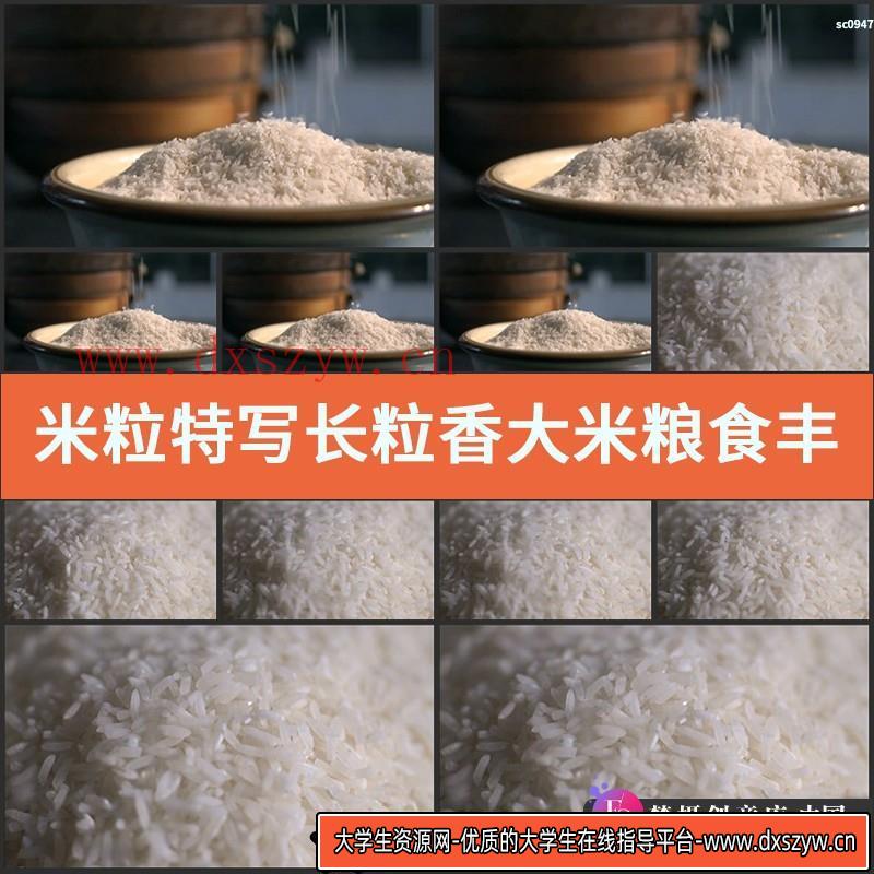 米粒特写 长粒香大米 粮食 丰收 高清实拍视频素材-大学生资源网