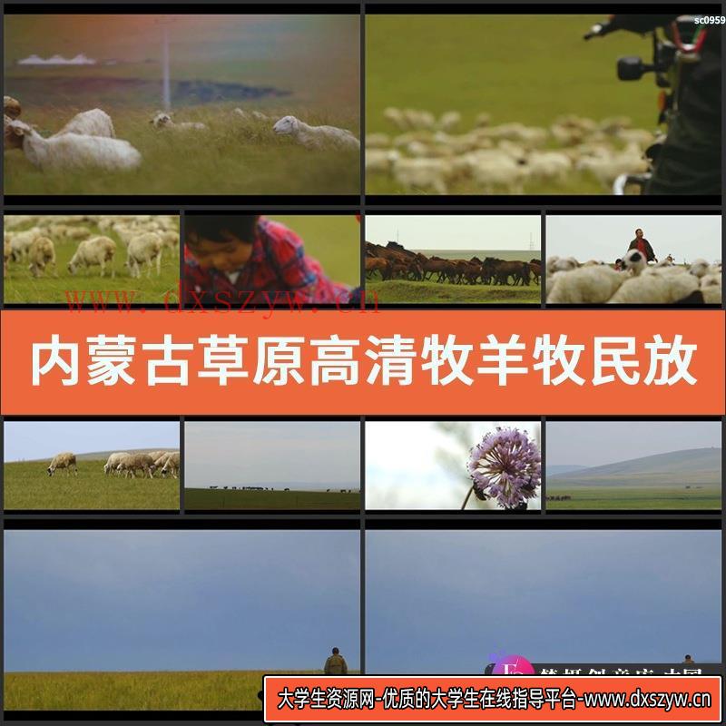 内蒙古草原高清实拍牧羊牧民放羊自然风光片视频素材-大学生资源网