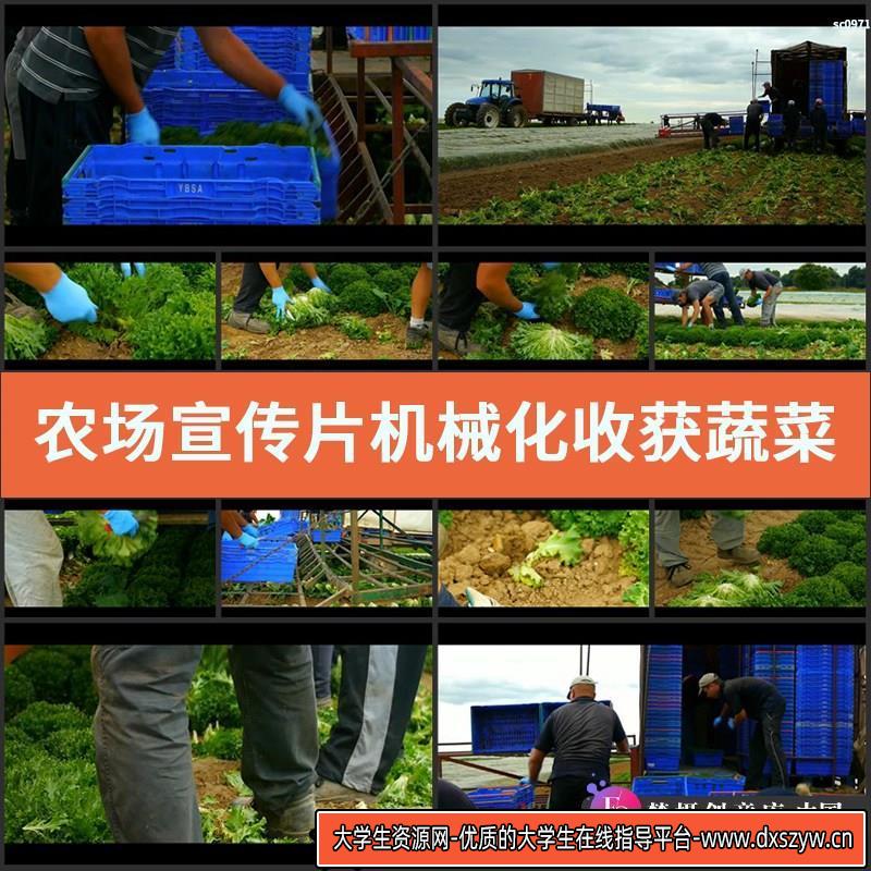 农场宣传片 机械化收获蔬菜 现代化绿色农场 无污染 实拍视频素材-大学生资源网