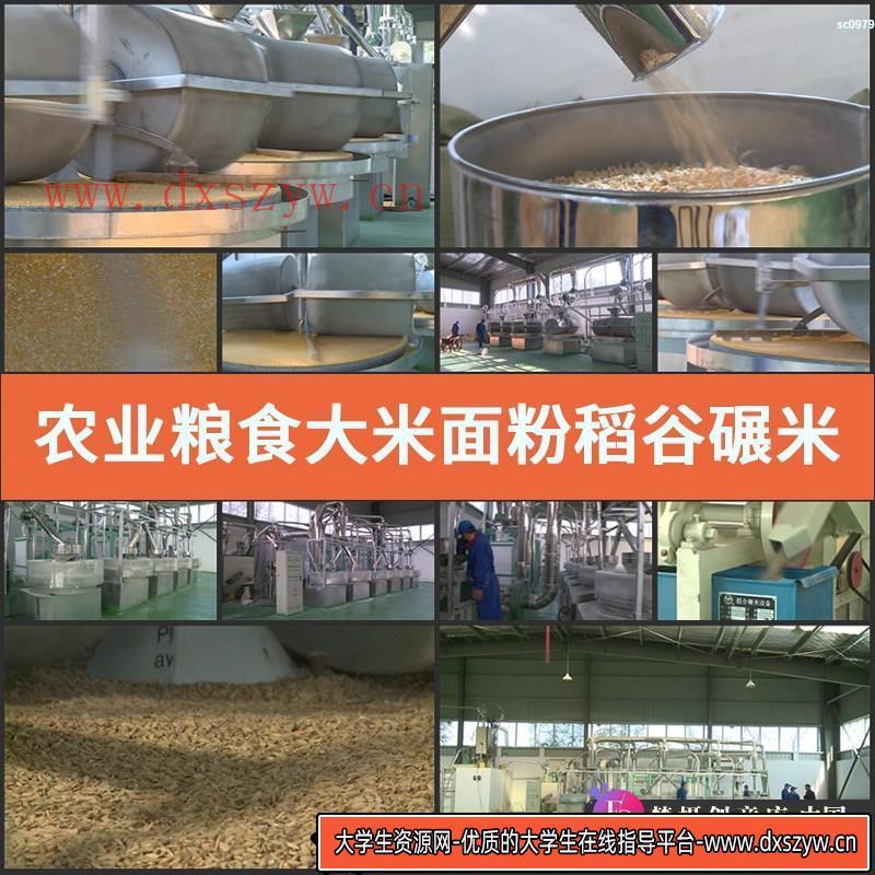 农业 粮食大米面粉 稻谷 碾米 生产车间加工 高清实拍视频素材-大学生资源网