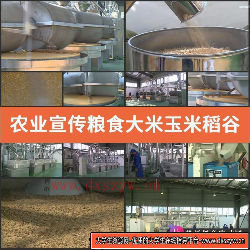 农业宣传 粮食大米玉米稻谷碾米生产车间加工高清实拍视频素材-大学生资源网