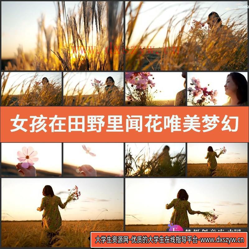 女孩在田野里闻花唯美梦幻视频 夕阳下的女孩浪漫高清视频素材-大学生资源网