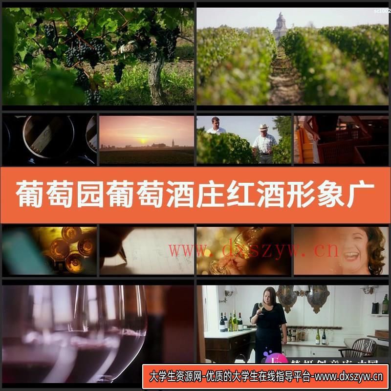 葡萄园葡萄酒庄红酒形象广告片高清实拍红酒品酒视频素材-大学生资源网