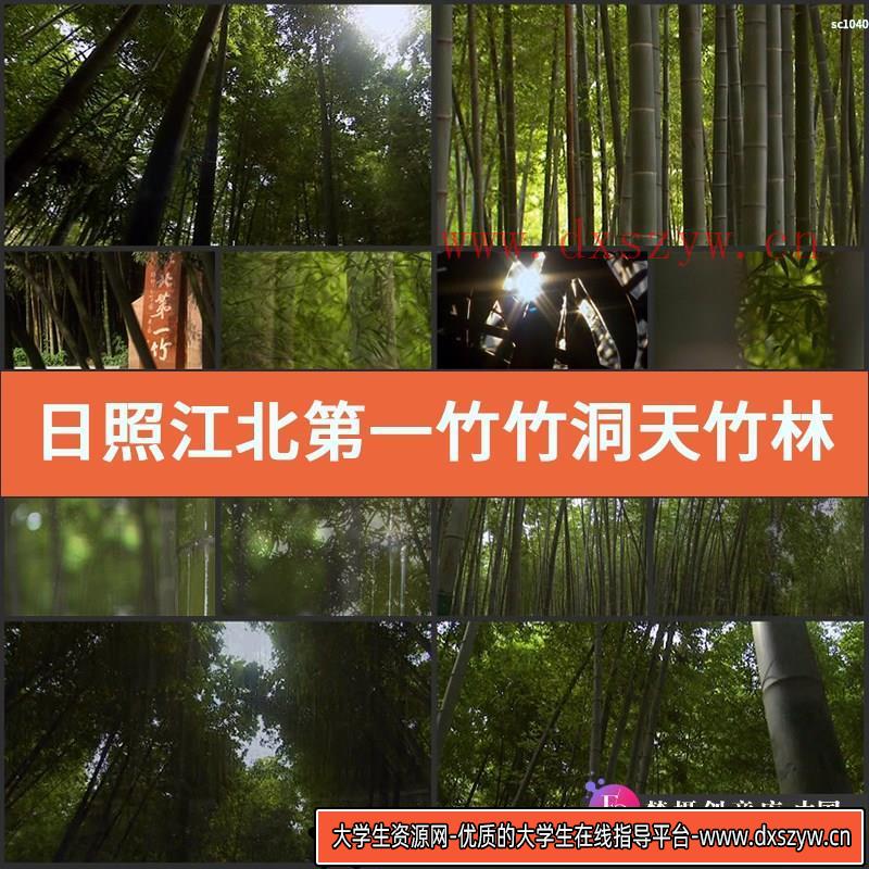 日照 江北第一竹 竹洞天 竹林竹子 高清实拍视频素材-大学生资源网